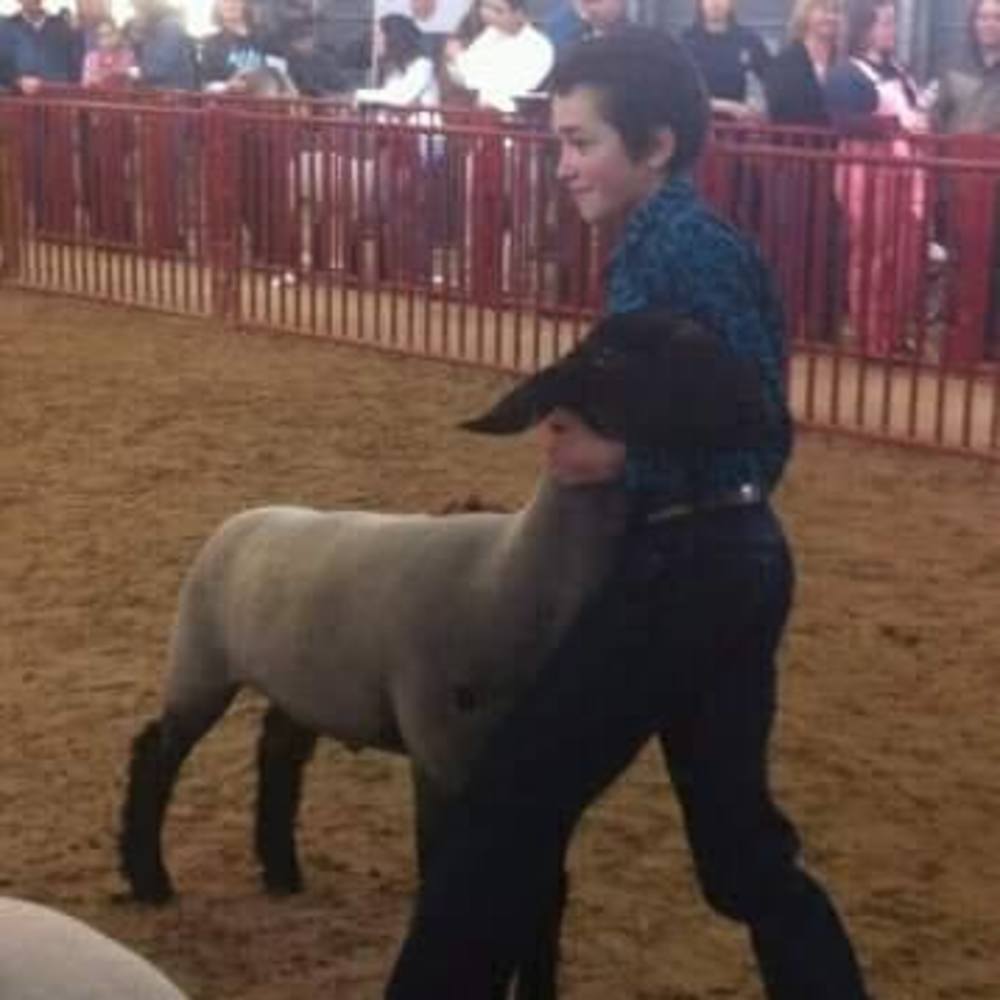 Meet your Posher, Jan